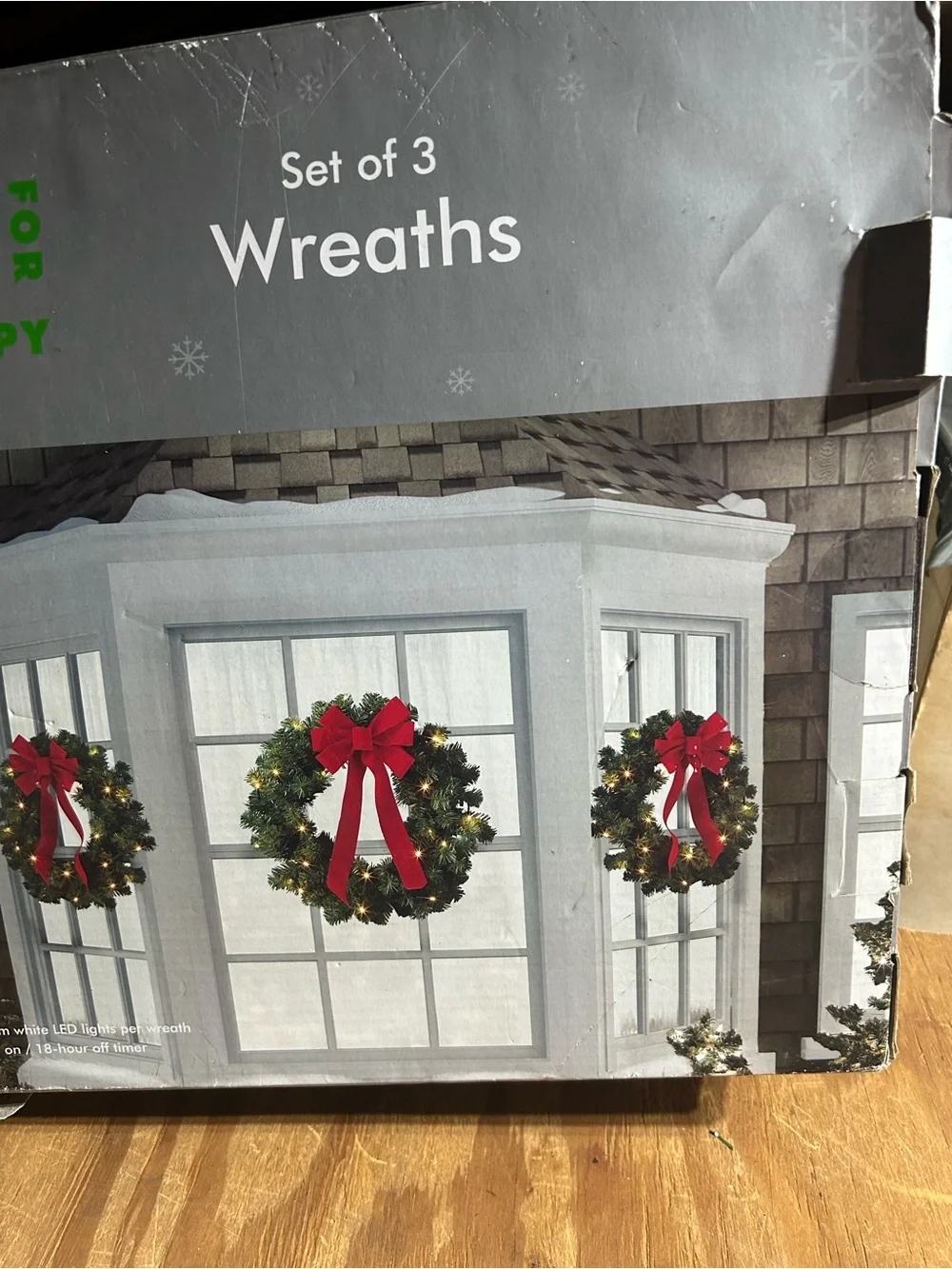 Holiday Green and Red light Poinsettia Wreath set of 2